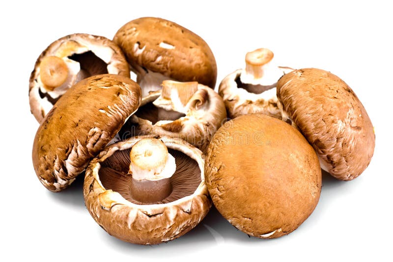 Fresh Brown Mushrooms Isolated on White Background Stock Photo Image