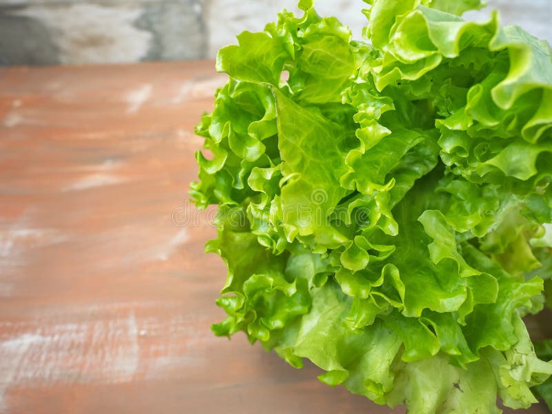 Lettuce leaf bunch stock photo. Image of isolated, bunch - 14395724