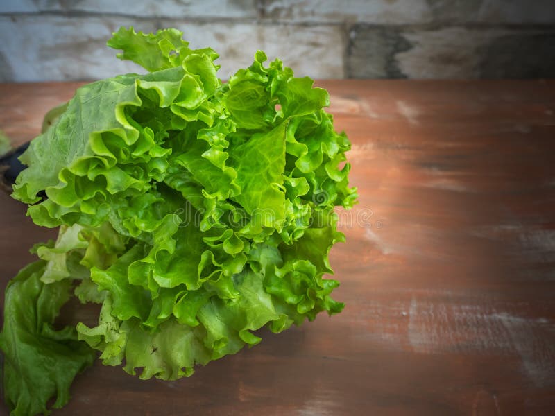 Fresh Bunch of Leaf Lettuce Close Up Stock Image - Image of bunch ...