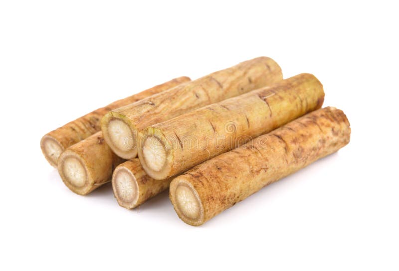 Fresh Burdock Root Or Gobo On White Background Stock Image Image of