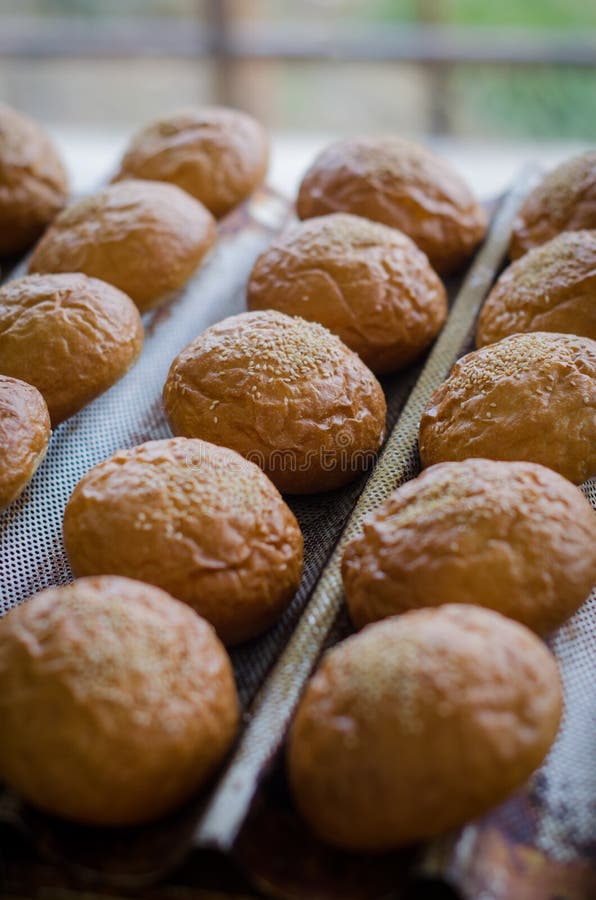 Fresh Burgers Buns on the Iron Pan from the Oven Stock Photo Image of