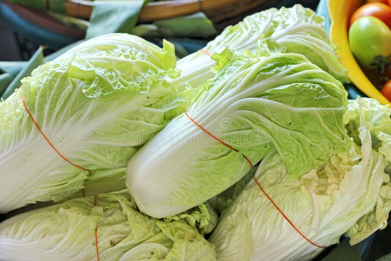 Fresh Cabbage in the Market. Stock Photo Image of grocery, store