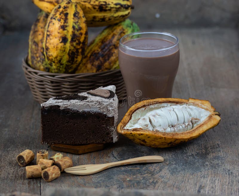Fresh cacao fruit stock image. Image of food, drink 133837067