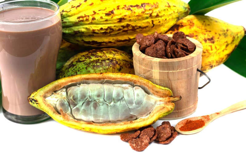 Fresh cacao fruit stock photo. Image of dessert, fresh 133836706