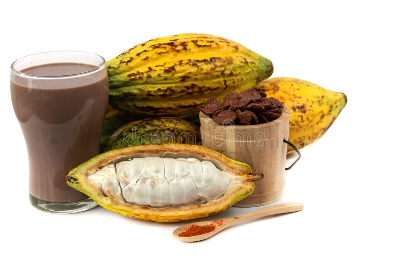 Fresh cacao fruit stock image. Image of production, cocoa 152028779