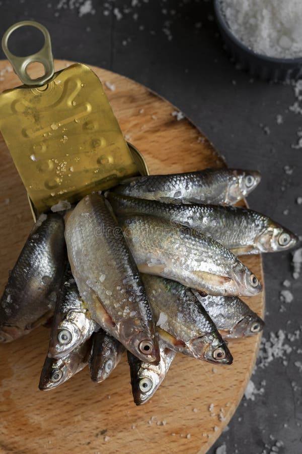 Fresh Canned Fish, Healthy Eating Ingredients Stock Image Image of