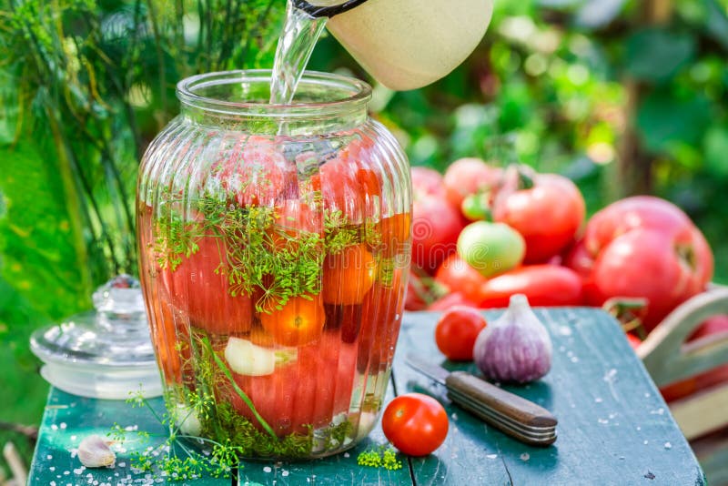 Fresh Canned Tomatoes in the Jar Stock Image Image of healthy
