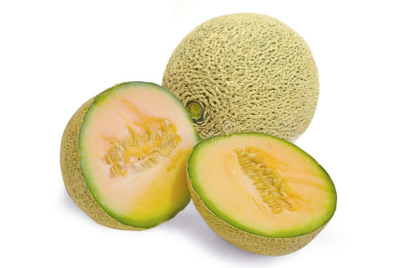 Fresh cantaloupe melon stock image. Image of freshness 11094741