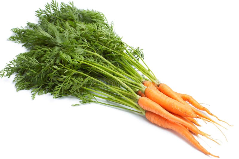 Fresh carrot