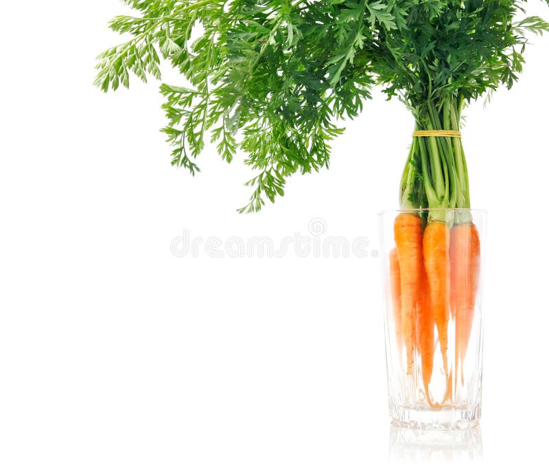 Fresh carrot fruits with green leaves royalty free stock photography Fresh carrot fruits with green leaves royalty free stock photography