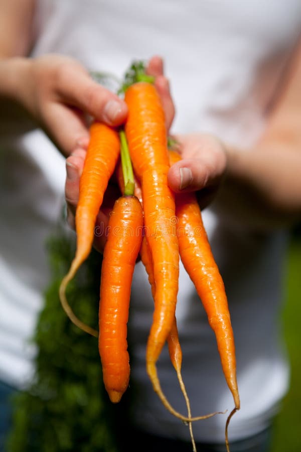 Fresh carrots