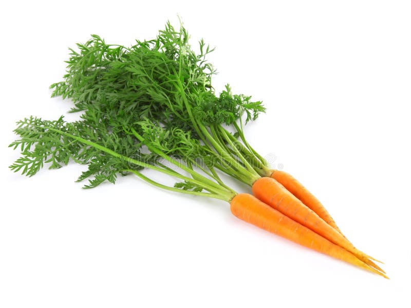 Fresh carrots isolated