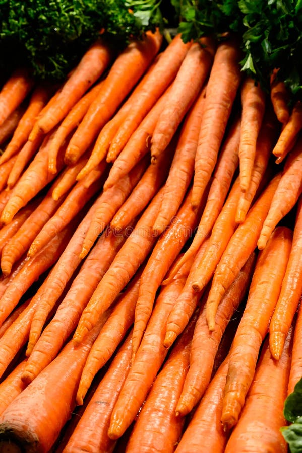 Fresh carrots