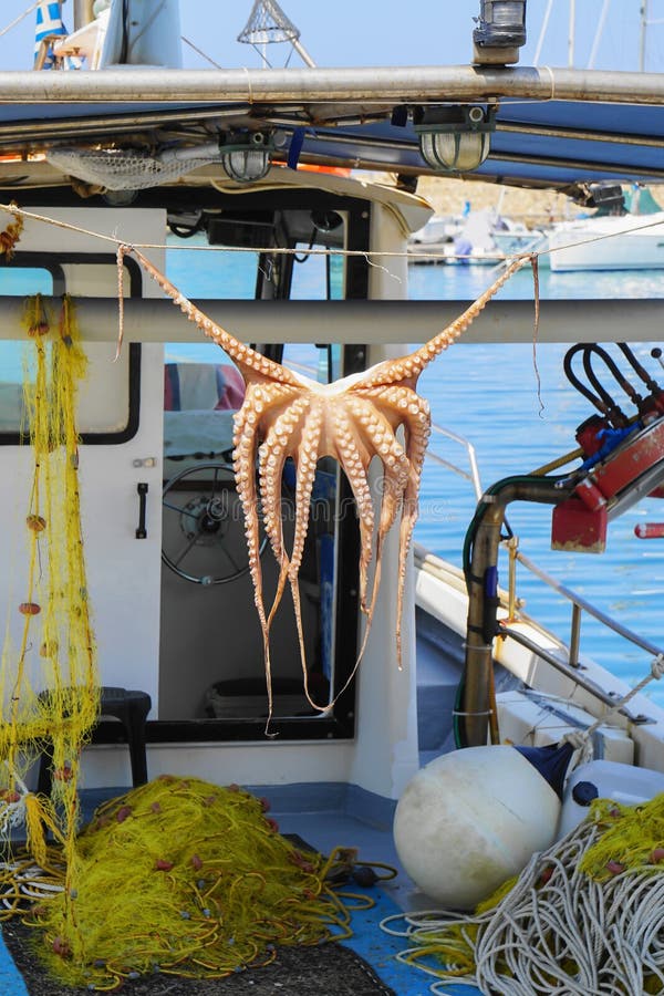 Octopus on deck of boat stock image. Image of western 51029801