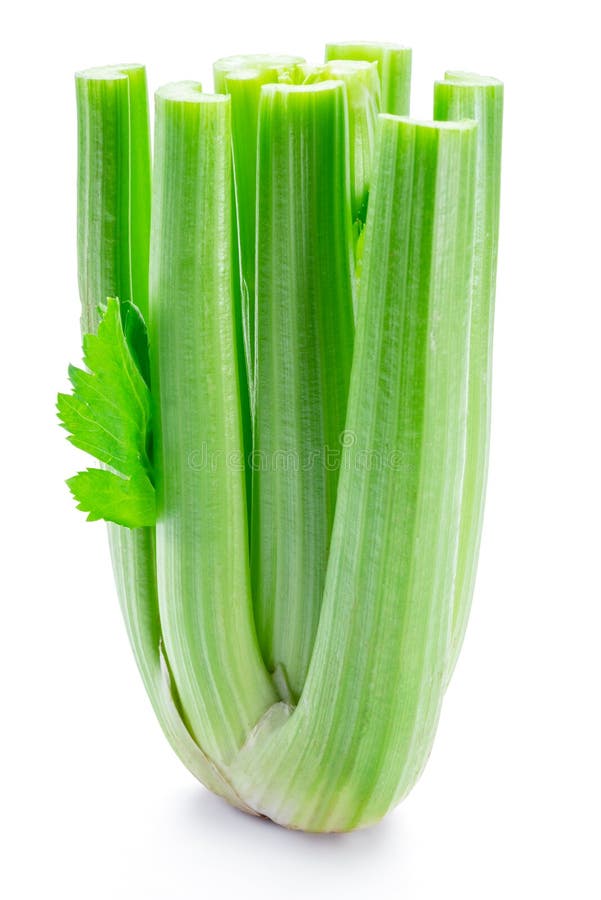 Stalk of celery stock image. Image of stalk, gourmet 12859103