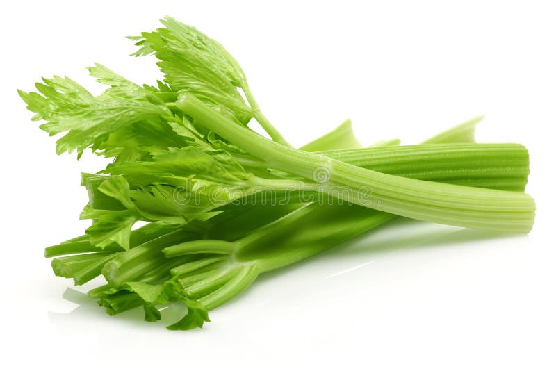 Fresh Celery Stalks and Leaves Isolated Stock Image - Image of ...