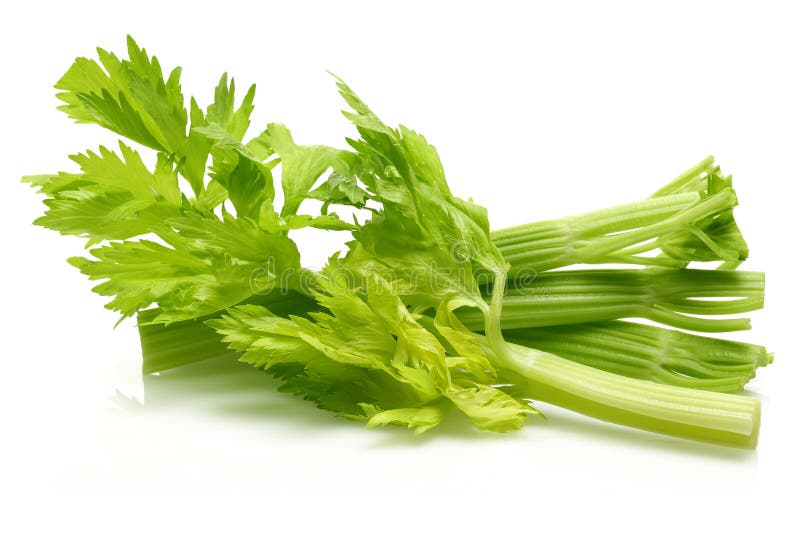 Fresh Celery Stalks and Leaves Isolated Stock Photo - Image of ...