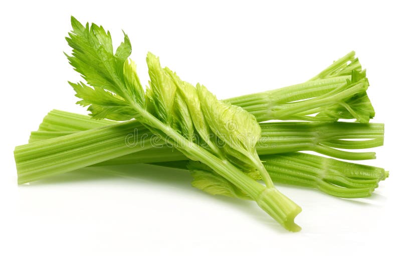 Fresh Celery Stalks and Leaves Isolated Stock Photo - Image of celeriac ...