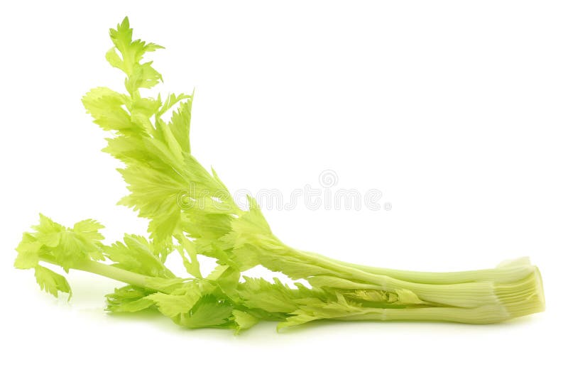 Fresh celery stems