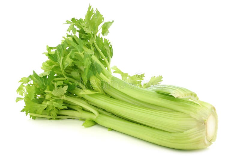 Fresh celery stock photo. Image of produce, food, organic 53844480