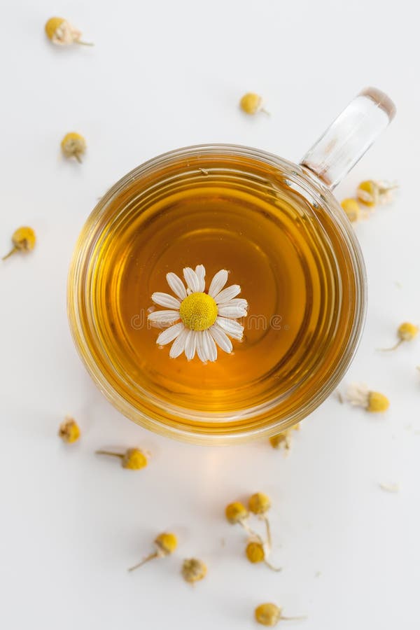 Fresh chamomile tea stock image. Image of chamomile, daisy 26250935