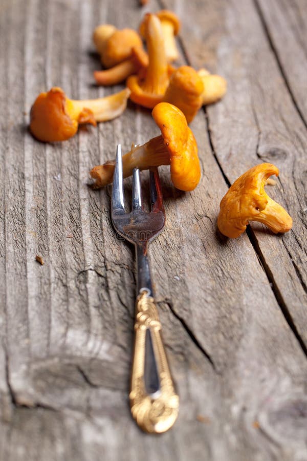 Fresh chanterelle mushrooms