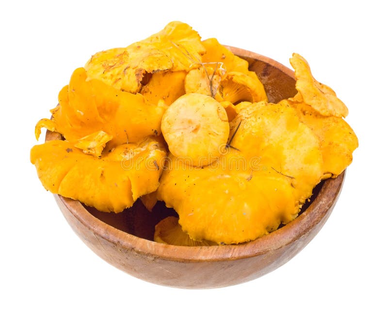 Fresh Chanterelle on a Wooden Plate Stock Photo Image of natural