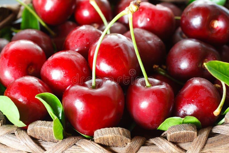Fresh cherries stock photo. Image of tasty, sweet, basket 20188226