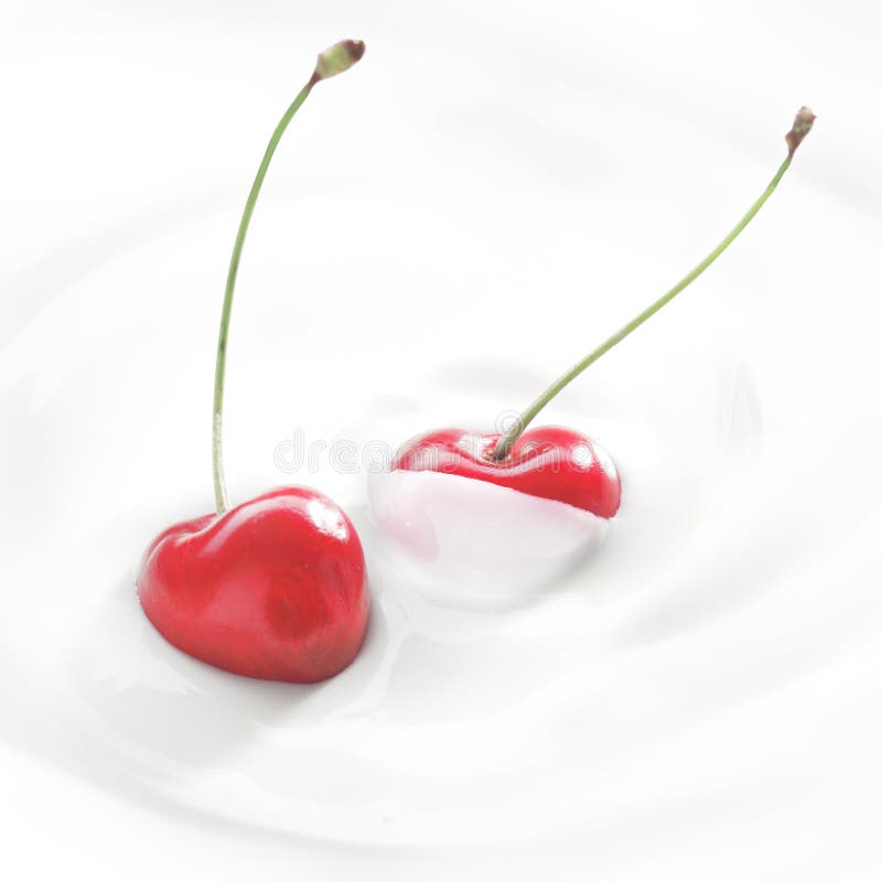 Fresh cherries in cream or yoghurt royalty free stock photography