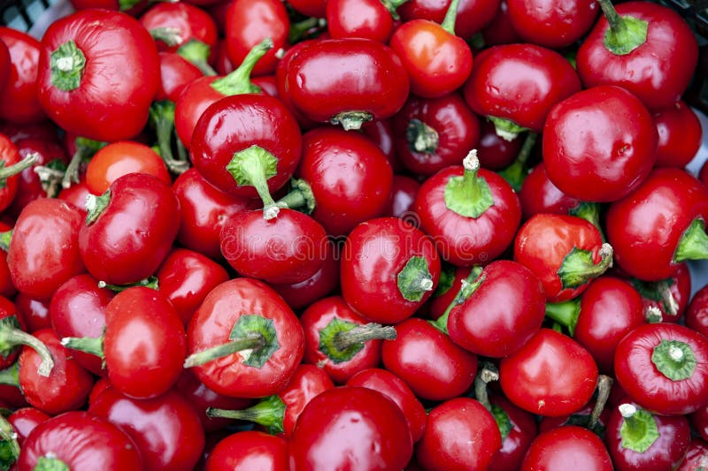 Fresh cherry ball peppers, pimento or red sweet chilli peppers sold at mark...