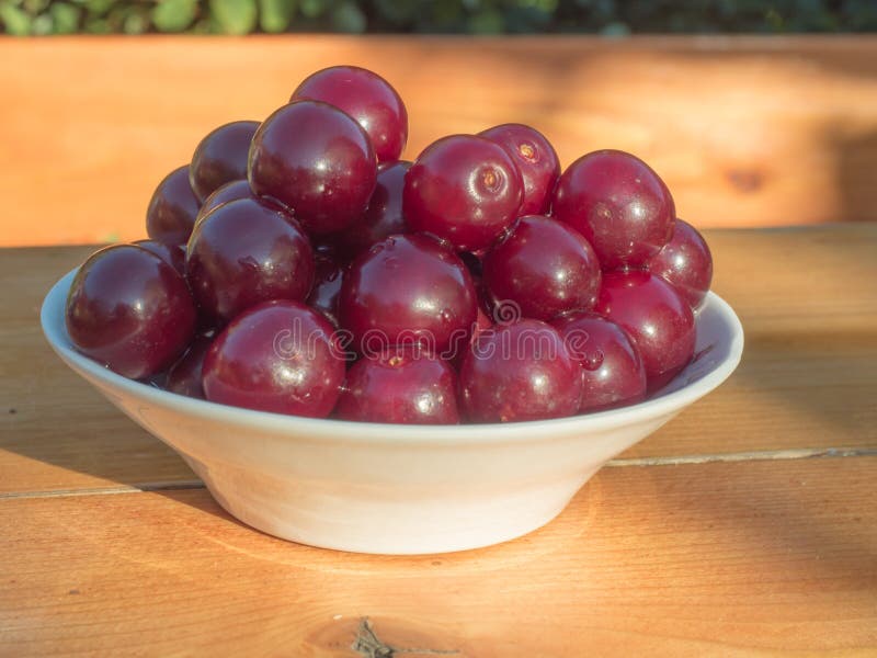 Eating Cherry Stock Photos, Images, & Pictures | Shutterstock