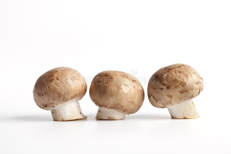 Fresh Chestnut mushrooms