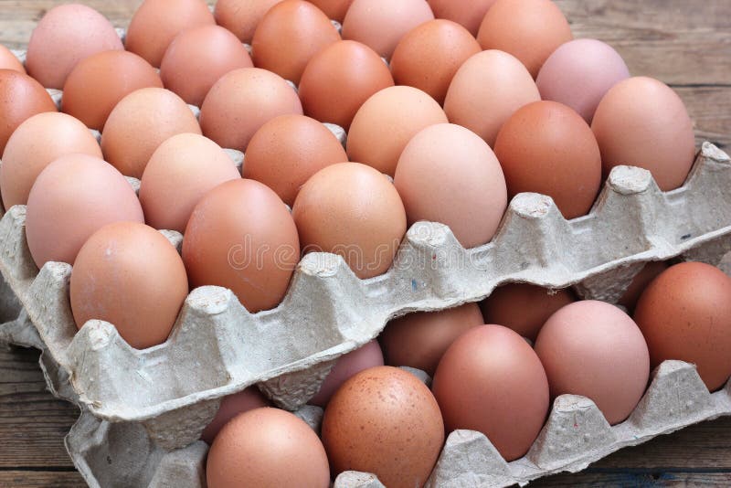 Яйцо 1 клетка. Лоток для яиц. Куриные яйца в лотке. Клетка куриного яйца. Лотком яиц в руке.