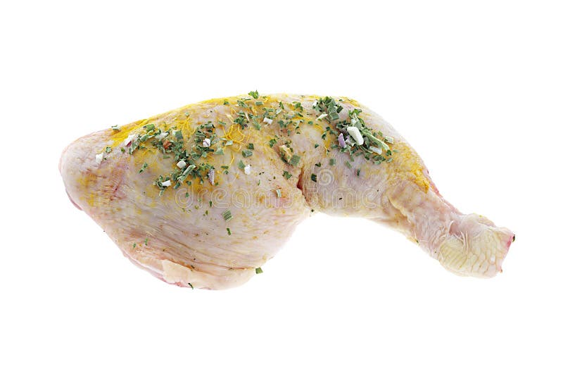Fresh Chicken Drumstick with Curry Powder Stock Image Image of color