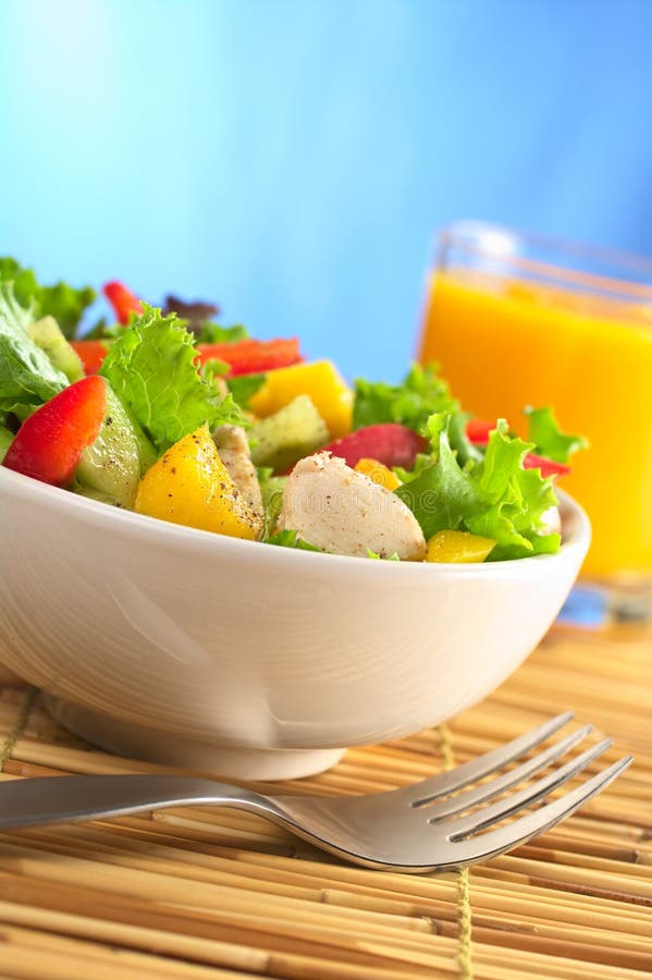 Fresh Chicken Salad stock photo. Image of color, mango 19261622
