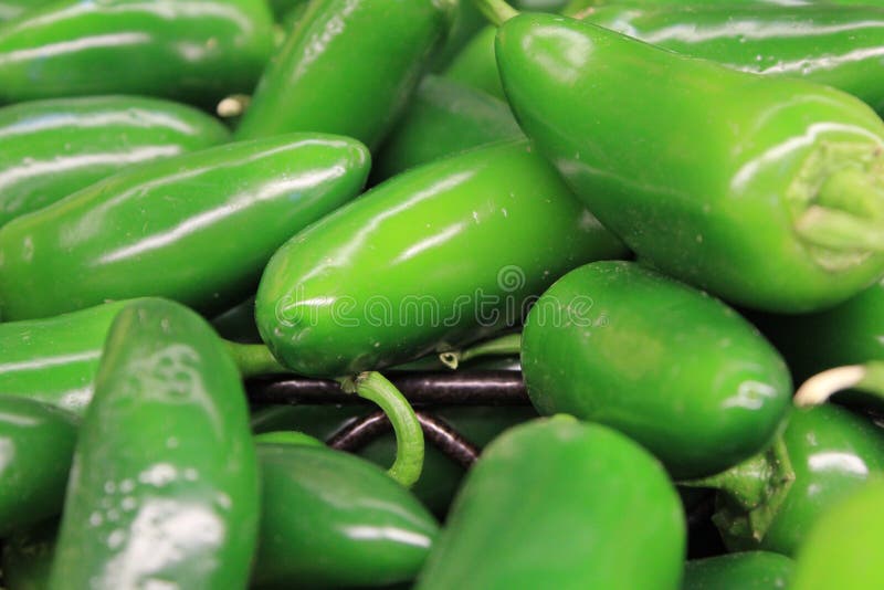 Fresh Chili Peppers stock photo. Image of ingredient 15142778
