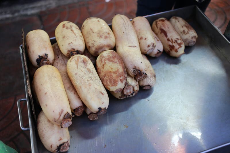 Fresh Chinese Lotus Root stock image. Image of food, root 76876683