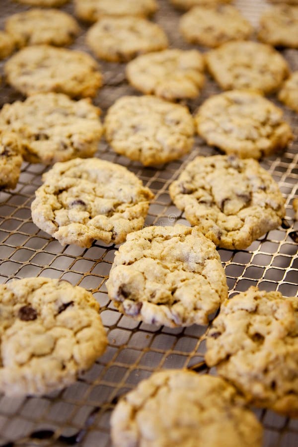 Fresh Chocolate Chip Cookies