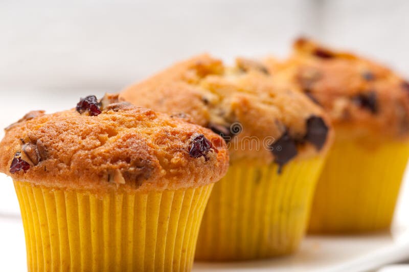 Fresh Chocolate and Raisins Muffins Stock Image Image of coffee