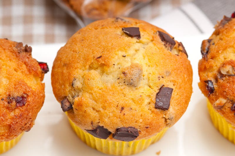 Fresh Chocolate and Raisins Muffins Stock Image Image of coffee