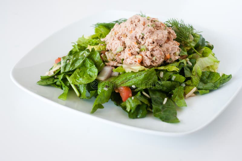 Fresh chopped tuna salad