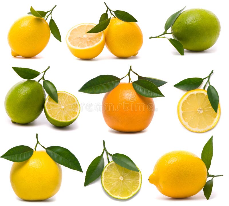 Fresh citrus set on white background