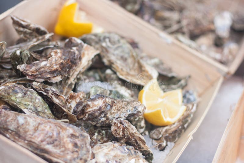 Fresh closed oysters with lemons in the street market stock images Fresh closed oysters with lemons in the street market stock images