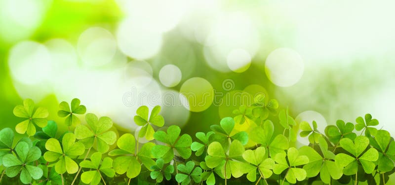 Fresh clover leaves on green background, banner design. St. Patrick`s Day celebration