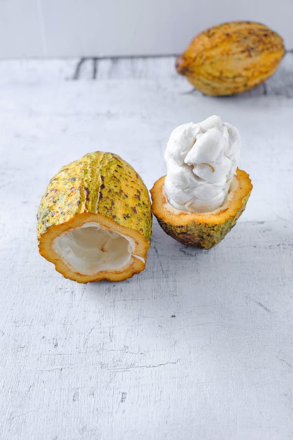 Fresh Cocoa with Cocoa Pods and Cocoa Fruit Cut in Half Stock Photo