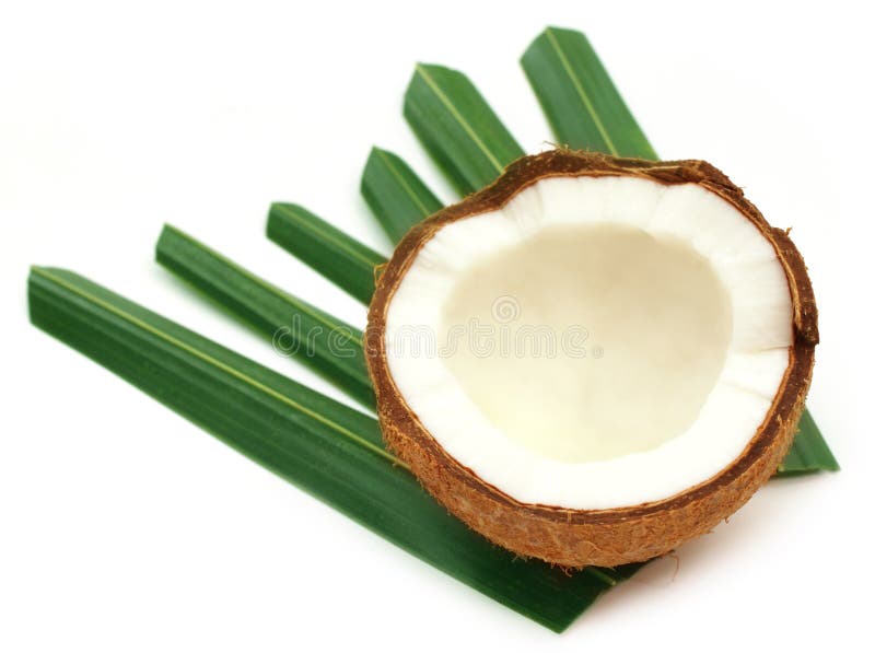 Fresh Coconut with Green Leaves Stock Photo Image of seed, fruit