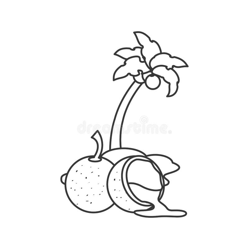 Fresh Coconut with Half Fruit with Tree Palm Stock Illustration ...