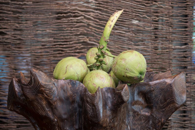 Fresh coconut placed on the beautiful wooden stock image