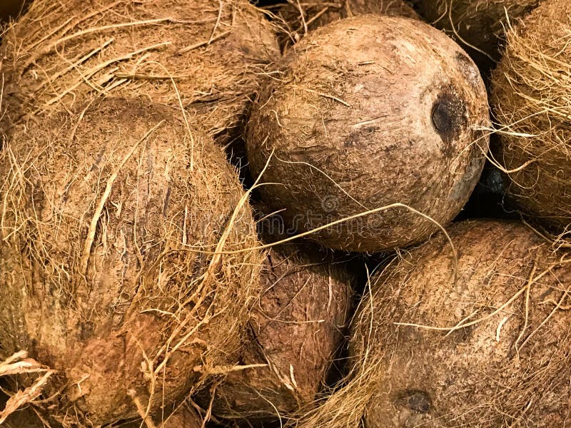 Fresh Coconut for Sale at a Grocery Store Stock Image Image of fruit
