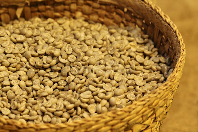 Raw Coffee Beans Seeds Bulk Burlap Sack Production Warehouse Stock Image Image of horizontal